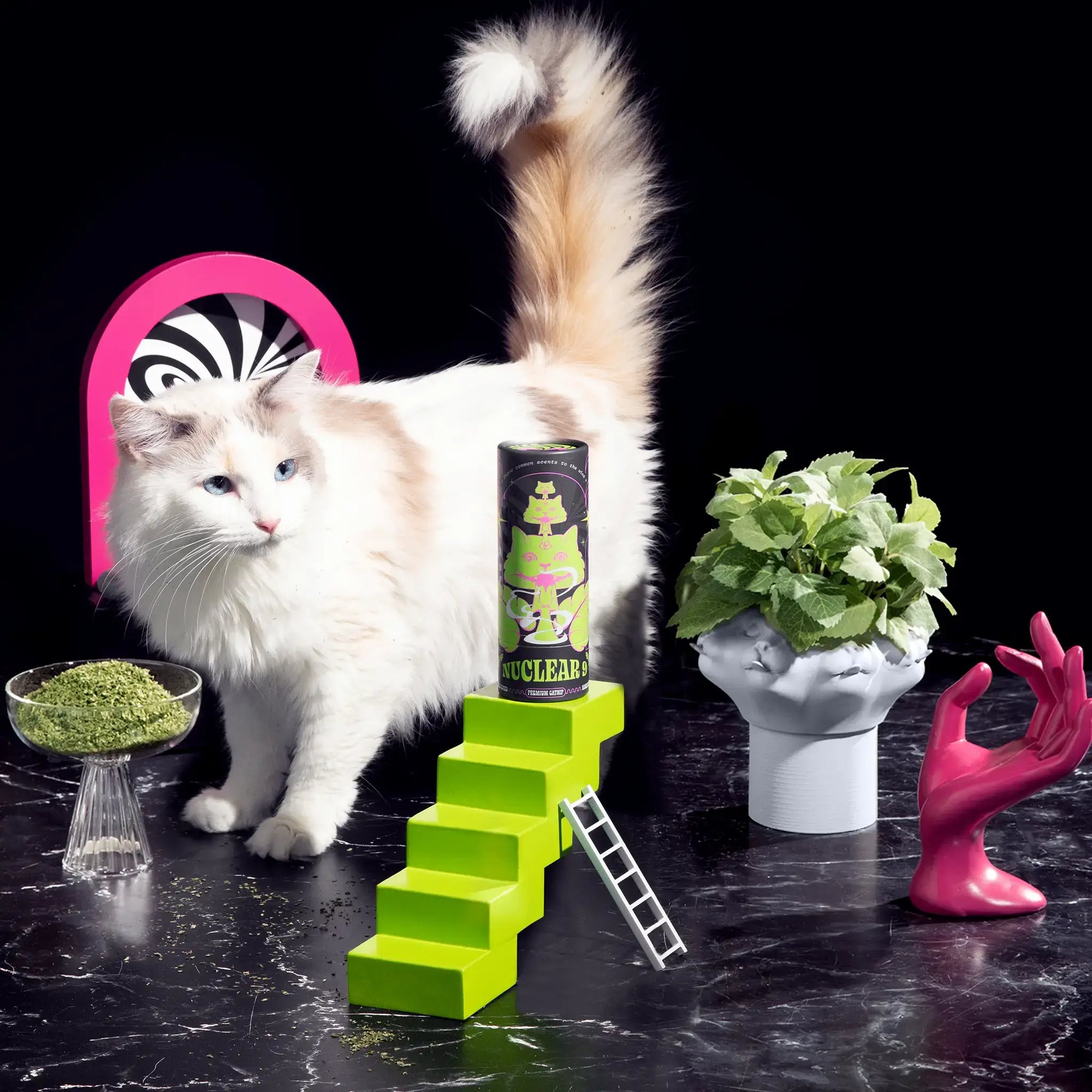 White cat staring at tube of Nuclear 9 catnip on top of miniature wooden stairs